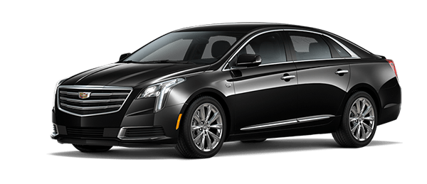 1 Cadillac XTS - Our Fleet